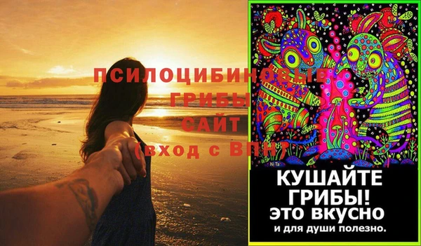 MDMA Медногорск