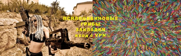 эйфоретик Калининец