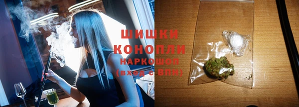 крисы Магас